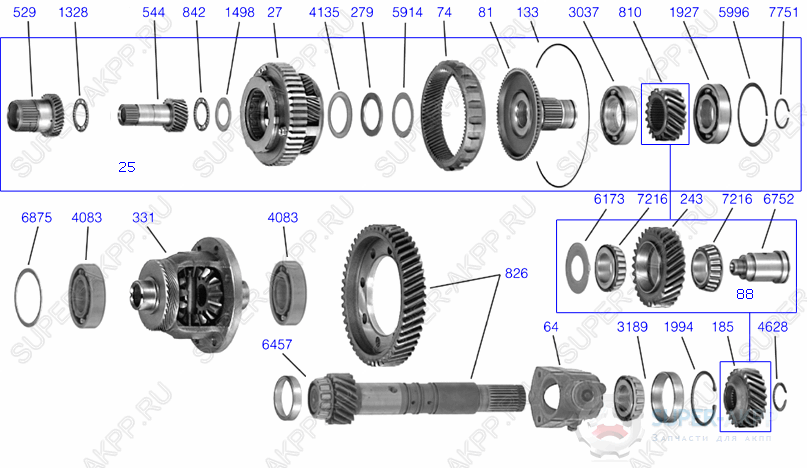 Gear Train